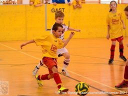 mini-Schlins-U9-Spiegl-DSC_1333
